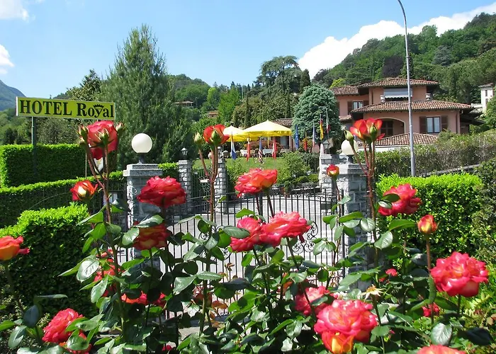 Royal メナッジョ